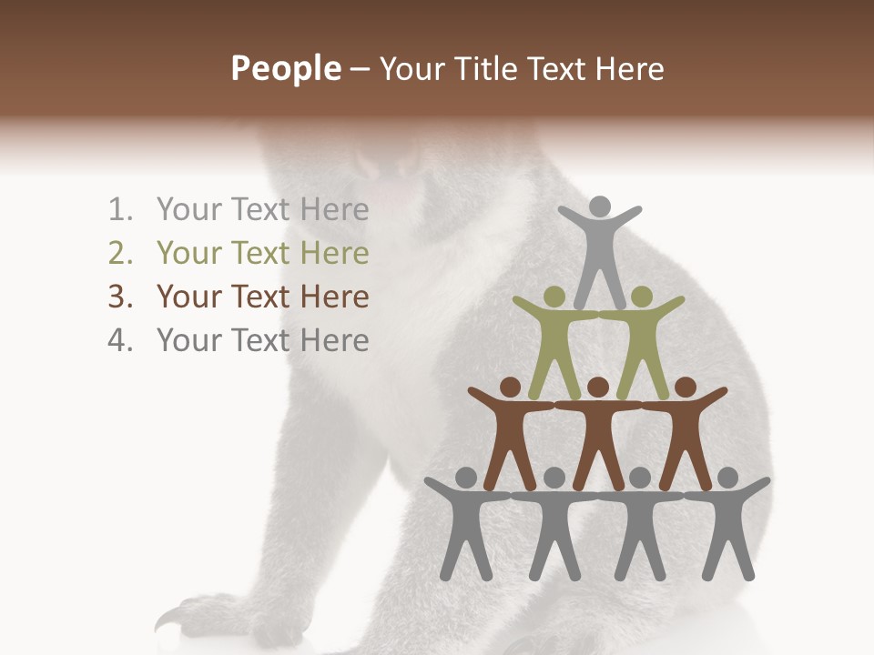 Phascolarctos Square Image Cut Out PowerPoint Template