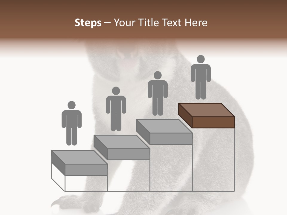 Phascolarctos Square Image Cut Out PowerPoint Template