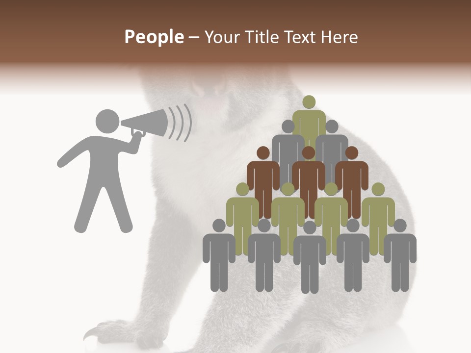 Phascolarctos Square Image Cut Out PowerPoint Template