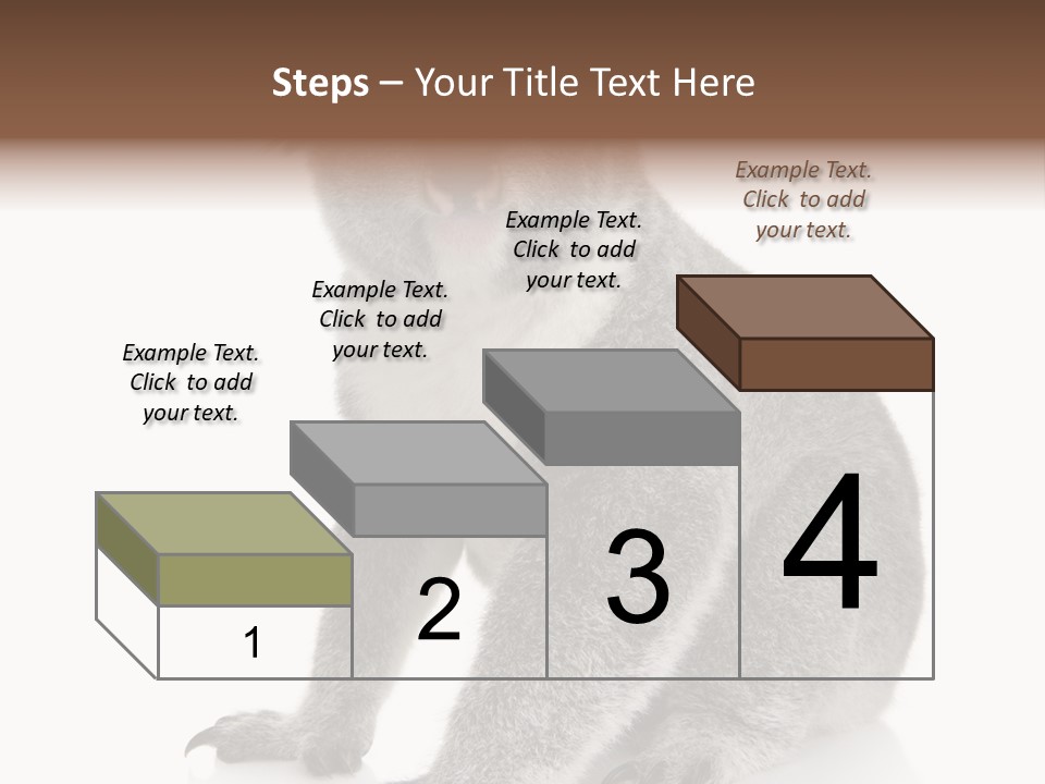 Phascolarctos Square Image Cut Out PowerPoint Template