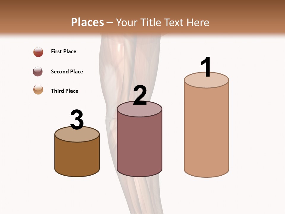 Ligament Corporal White PowerPoint Template