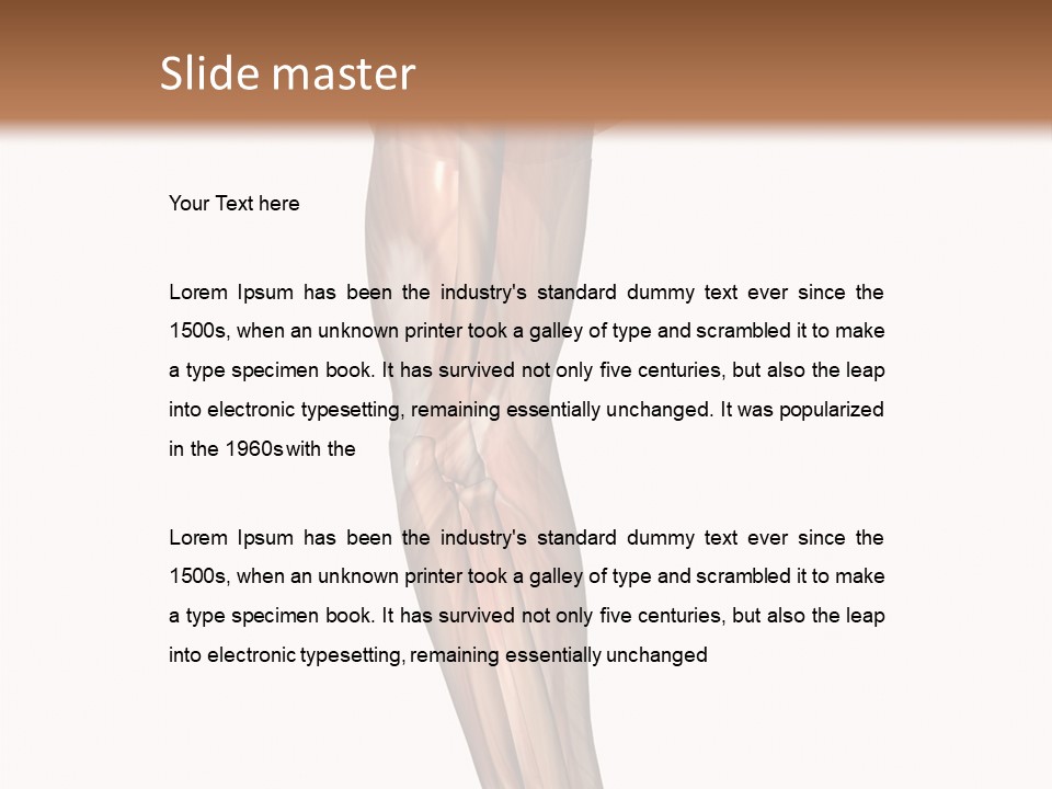 Ligament Corporal White PowerPoint Template