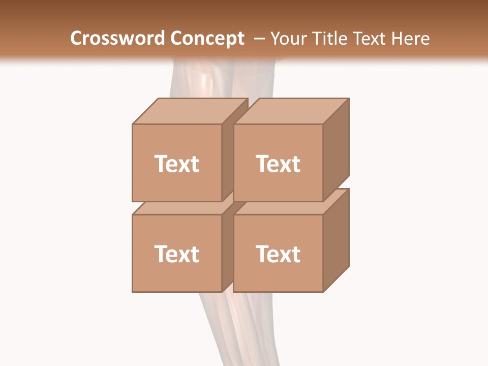 Ligament Corporal White PowerPoint Template