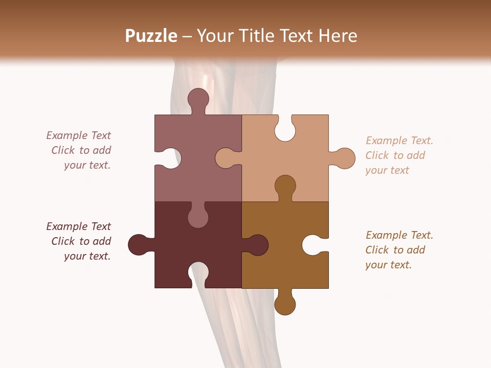 Ligament Corporal White PowerPoint Template