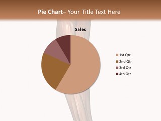 Ligament Corporal White PowerPoint Template