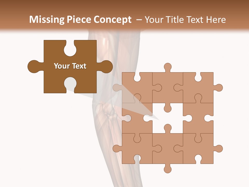 Ligament Corporal White PowerPoint Template