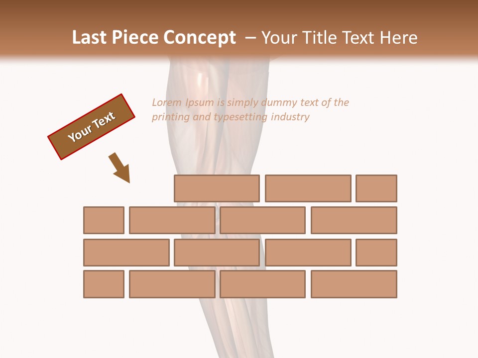Ligament Corporal White PowerPoint Template