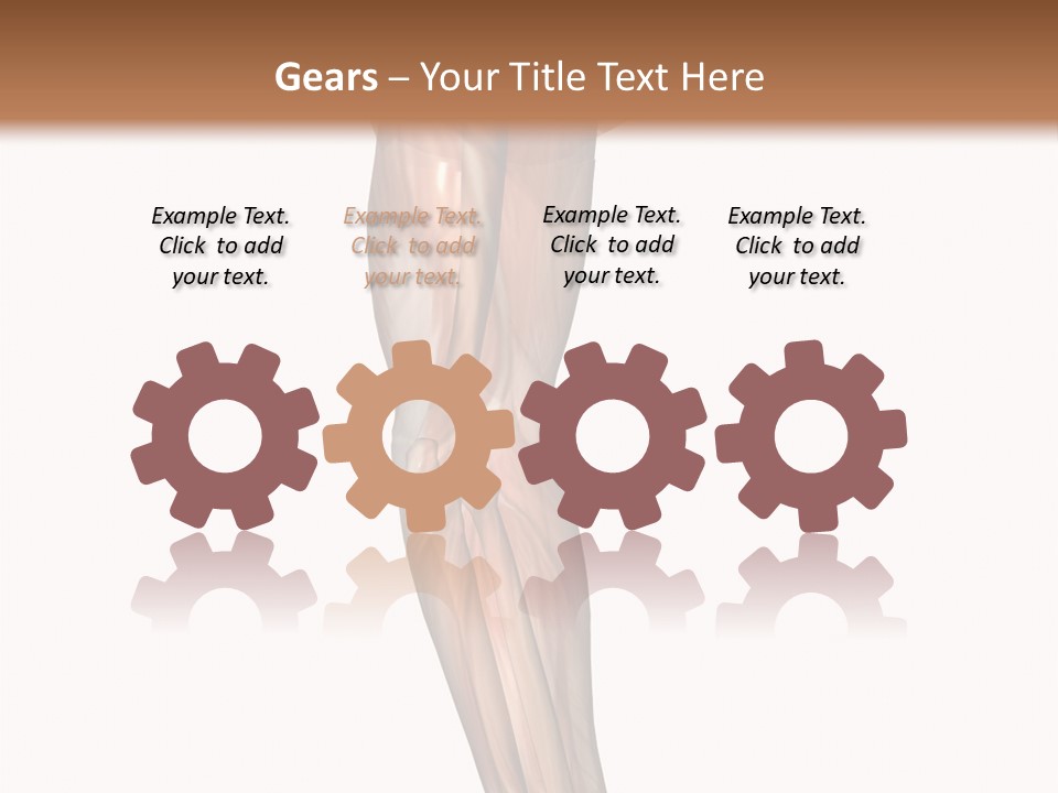 Ligament Corporal White PowerPoint Template