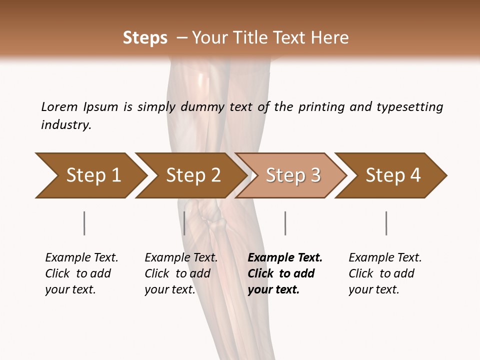 Ligament Corporal White PowerPoint Template