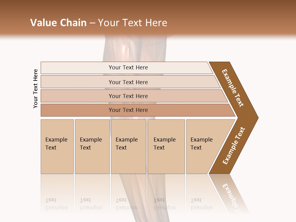 Ligament Corporal White PowerPoint Template