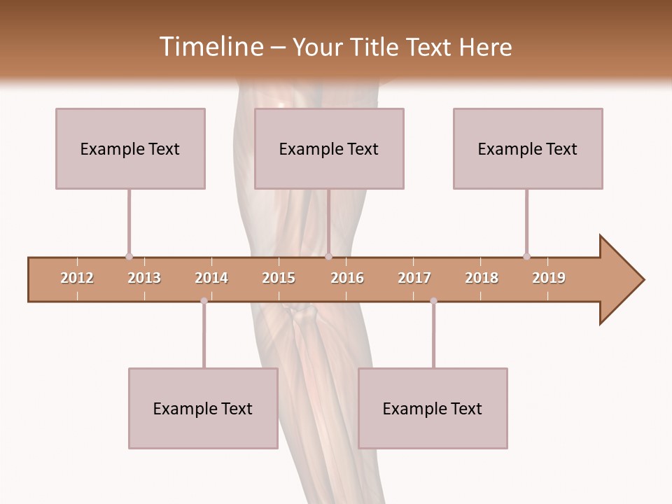 Ligament Corporal White PowerPoint Template