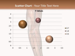 Ligament Corporal White PowerPoint Template