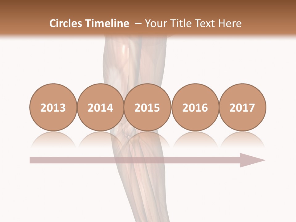 Ligament Corporal White PowerPoint Template