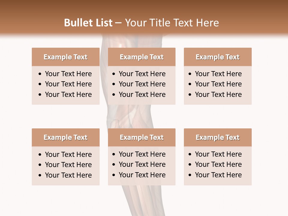 Ligament Corporal White PowerPoint Template