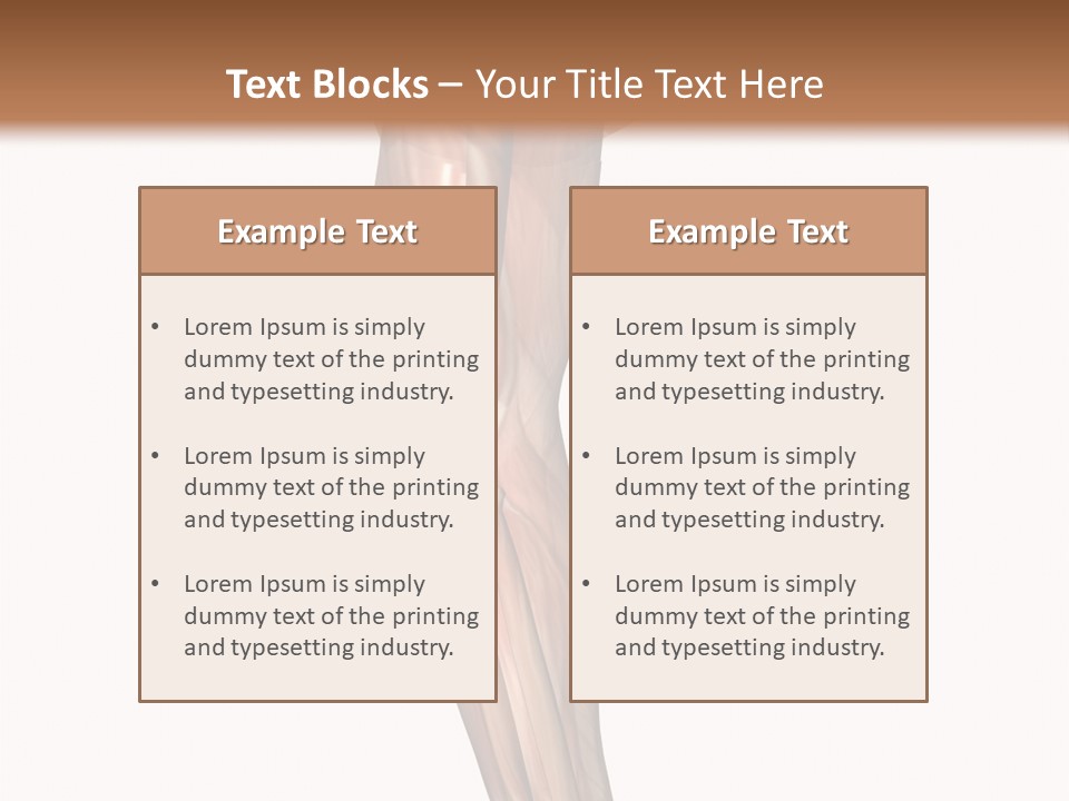 Ligament Corporal White PowerPoint Template