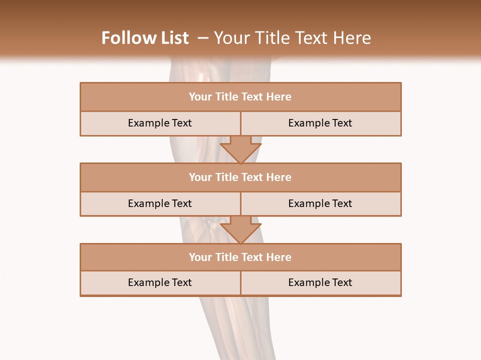Ligament Corporal White PowerPoint Template