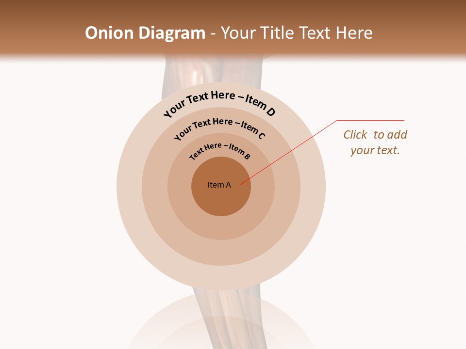 Ligament Corporal White PowerPoint Template