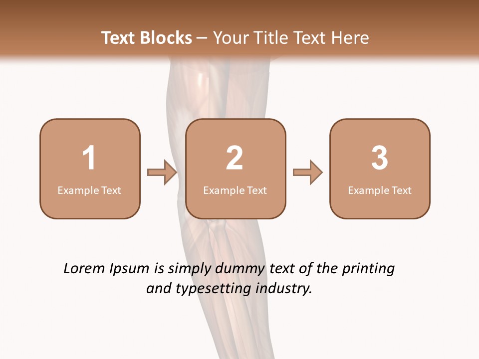 Ligament Corporal White PowerPoint Template
