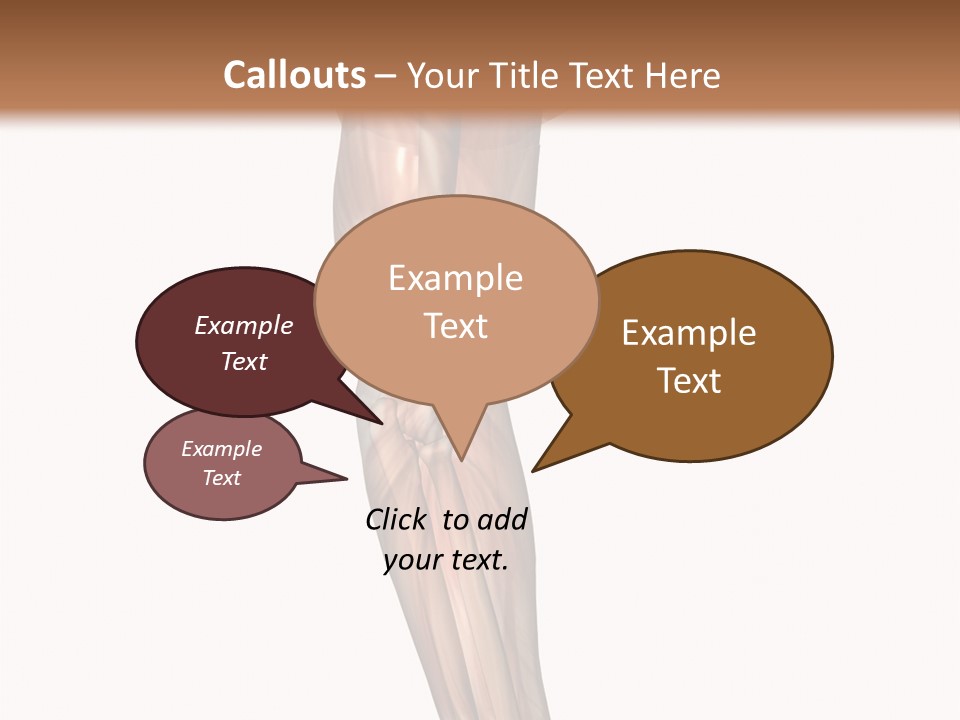 Ligament Corporal White PowerPoint Template