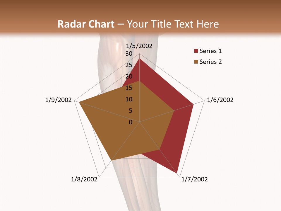 Ligament Corporal White PowerPoint Template