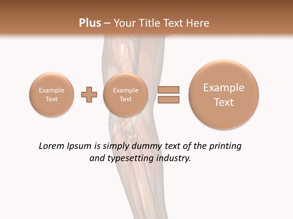 Ligament Corporal White PowerPoint Template