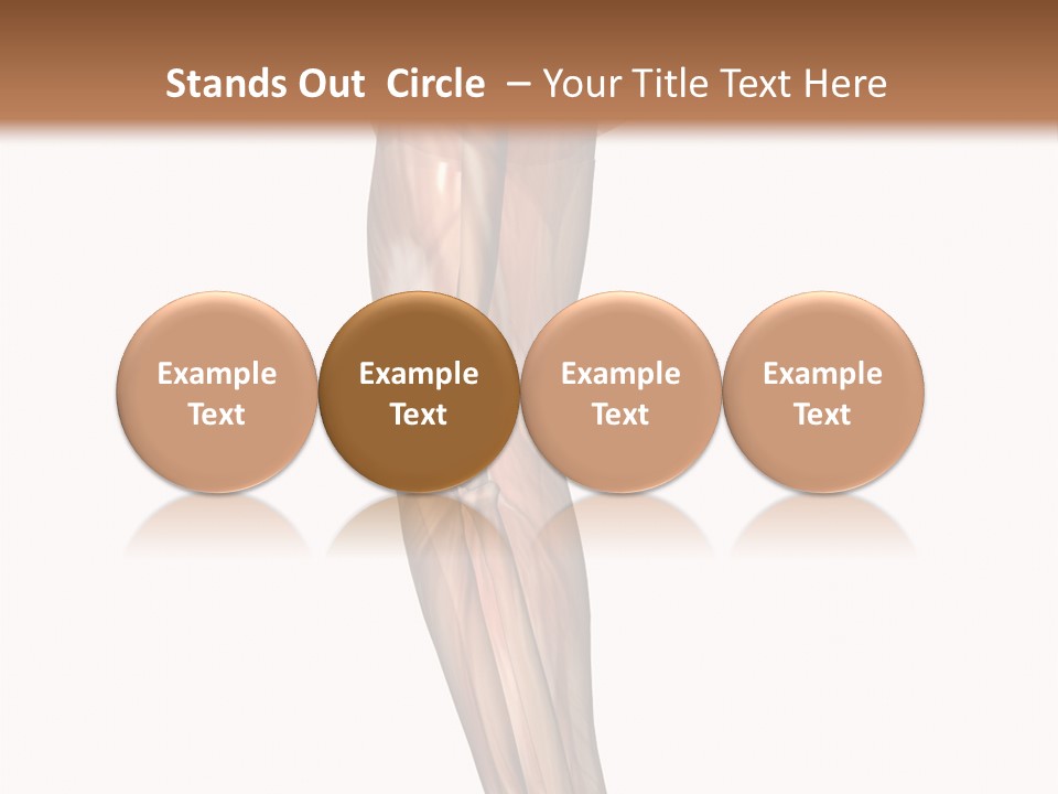 Ligament Corporal White PowerPoint Template