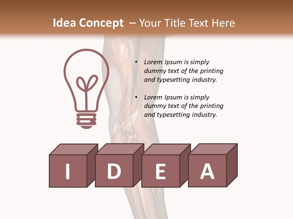 Ligament Corporal White PowerPoint Template