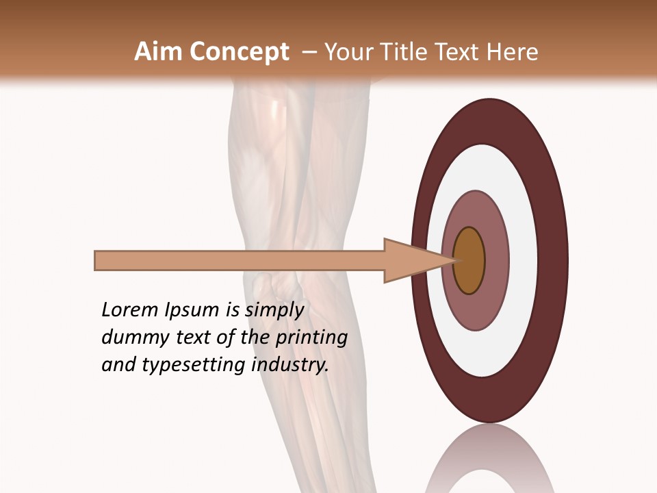Ligament Corporal White PowerPoint Template