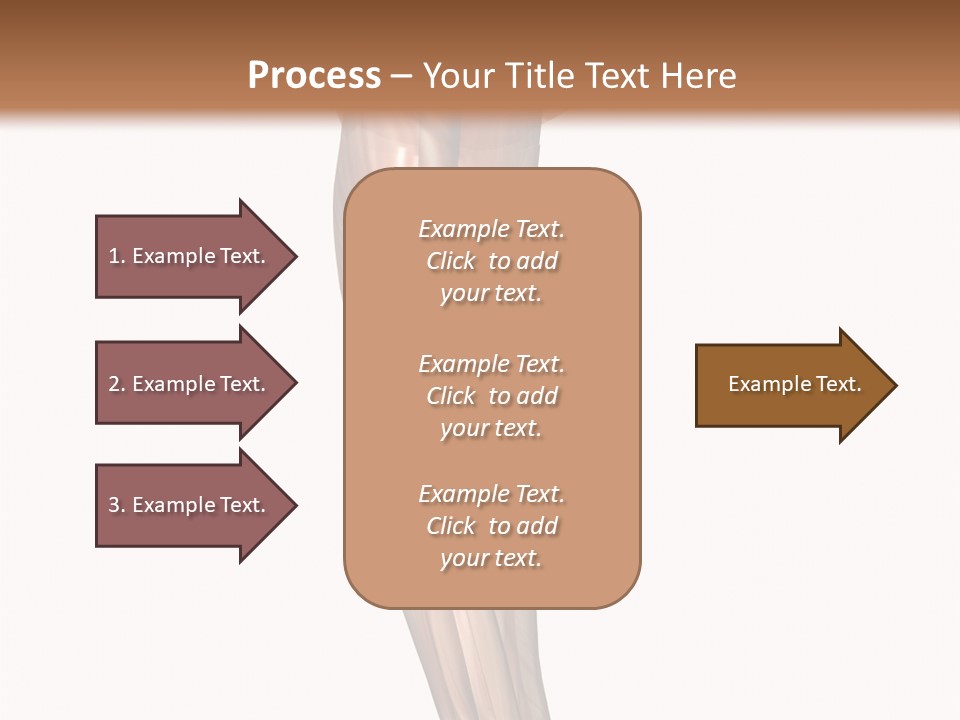Ligament Corporal White PowerPoint Template