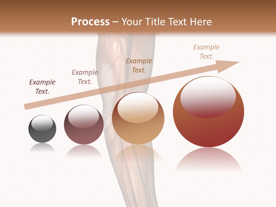 Ligament Corporal White PowerPoint Template