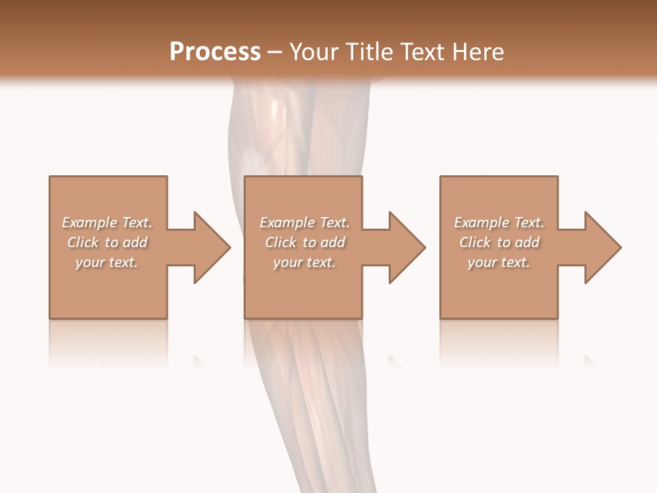 Ligament Corporal White PowerPoint Template