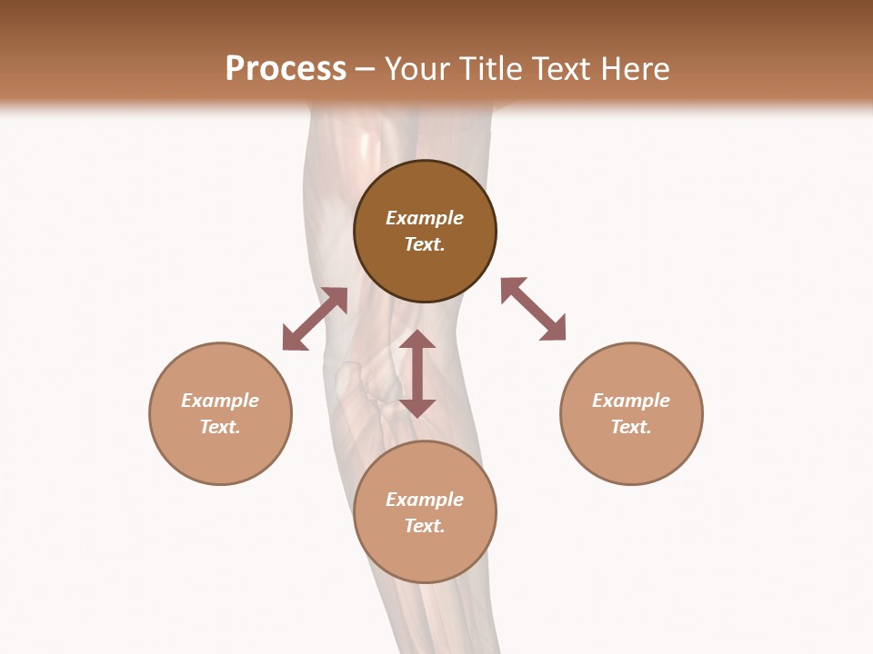 Ligament Corporal White PowerPoint Template