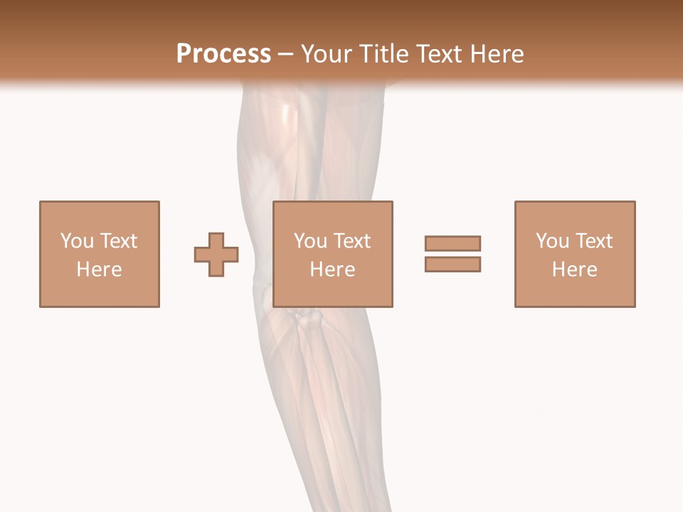 Ligament Corporal White PowerPoint Template