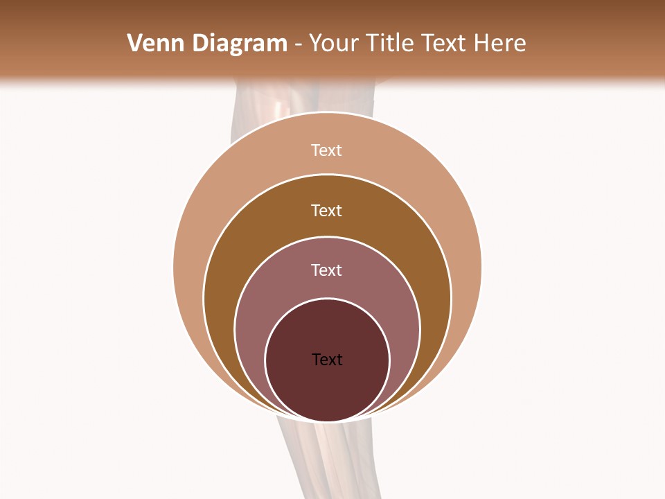 Ligament Corporal White PowerPoint Template
