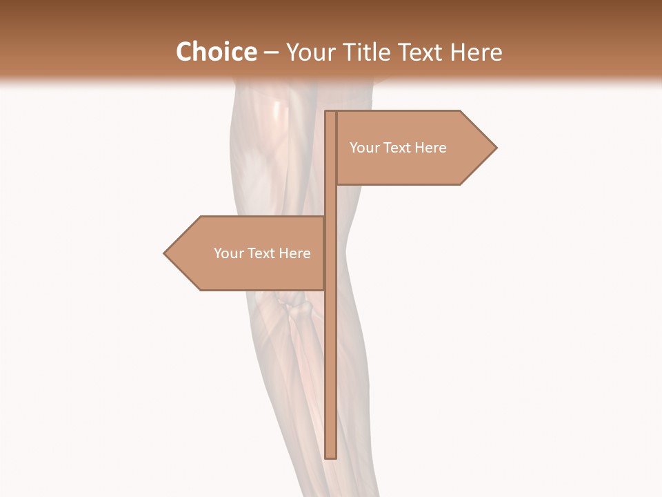 Ligament Corporal White PowerPoint Template