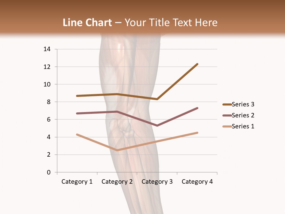 Ligament Corporal White PowerPoint Template