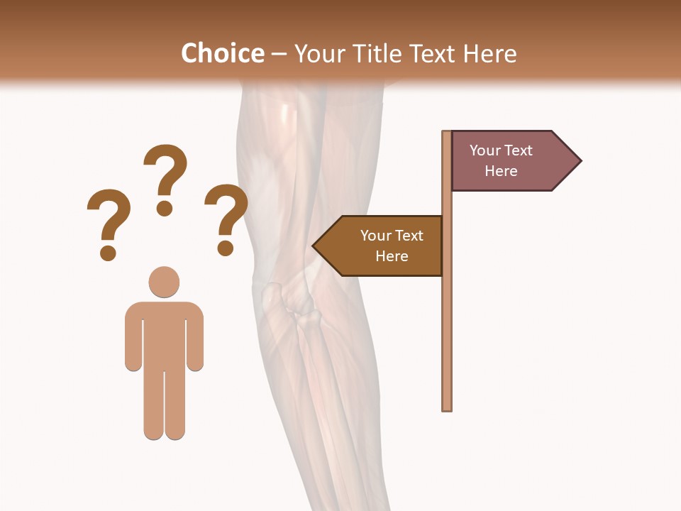 Ligament Corporal White PowerPoint Template