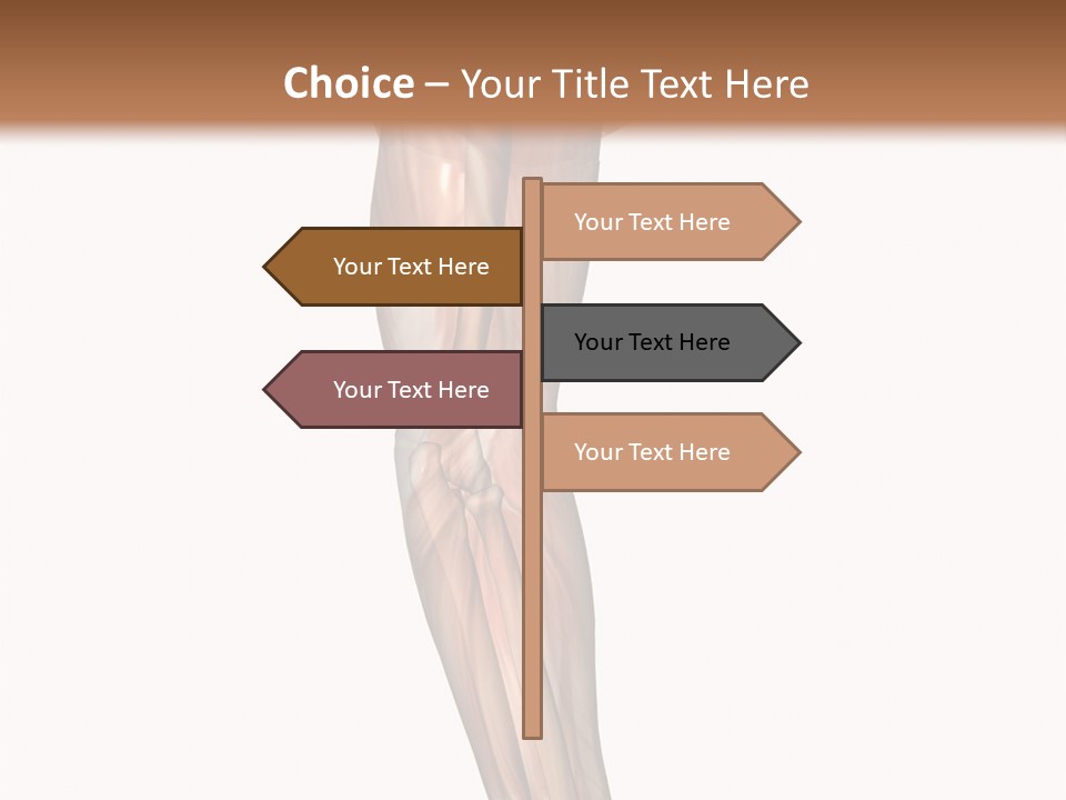 Ligament Corporal White PowerPoint Template