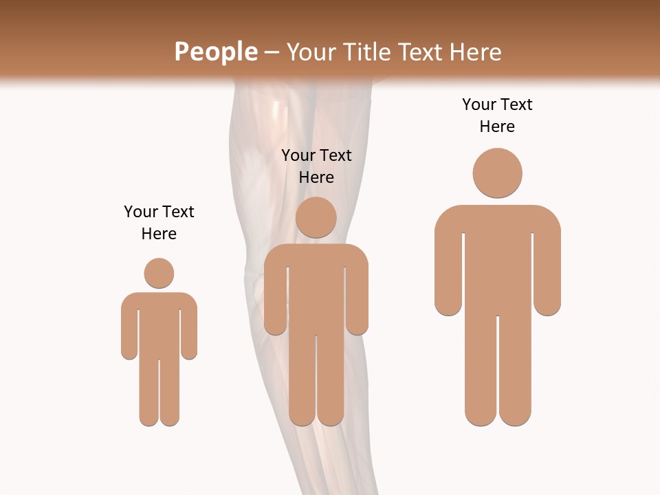 Ligament Corporal White PowerPoint Template