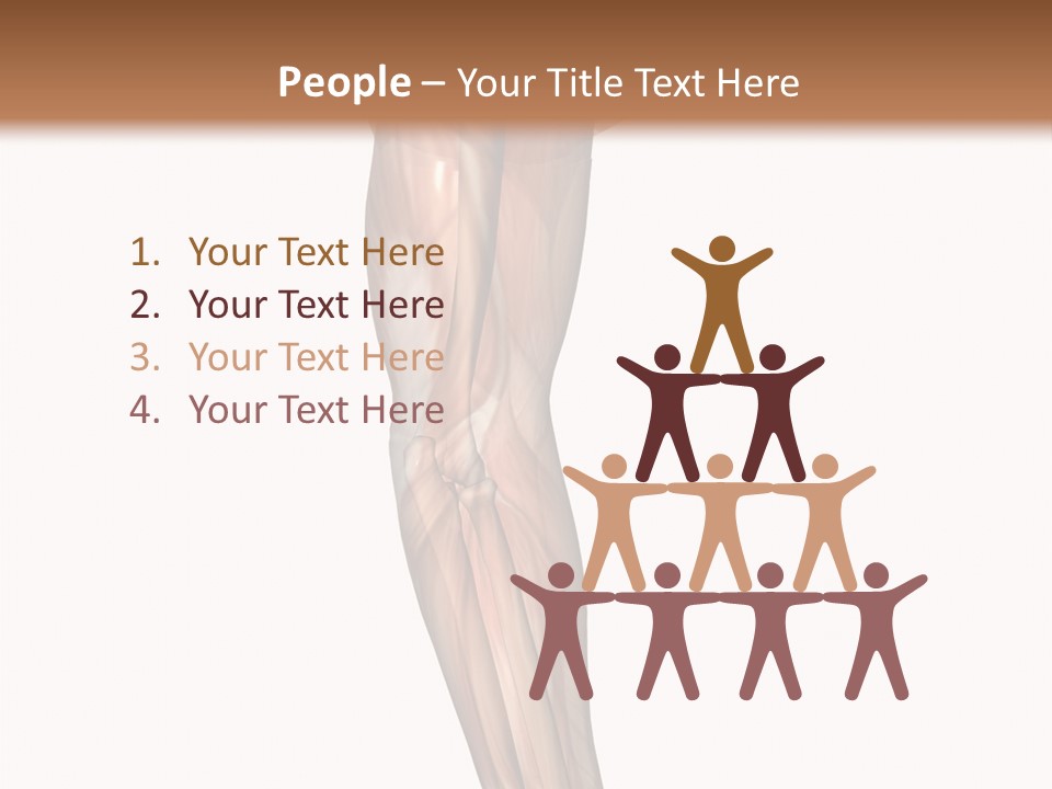 Ligament Corporal White PowerPoint Template