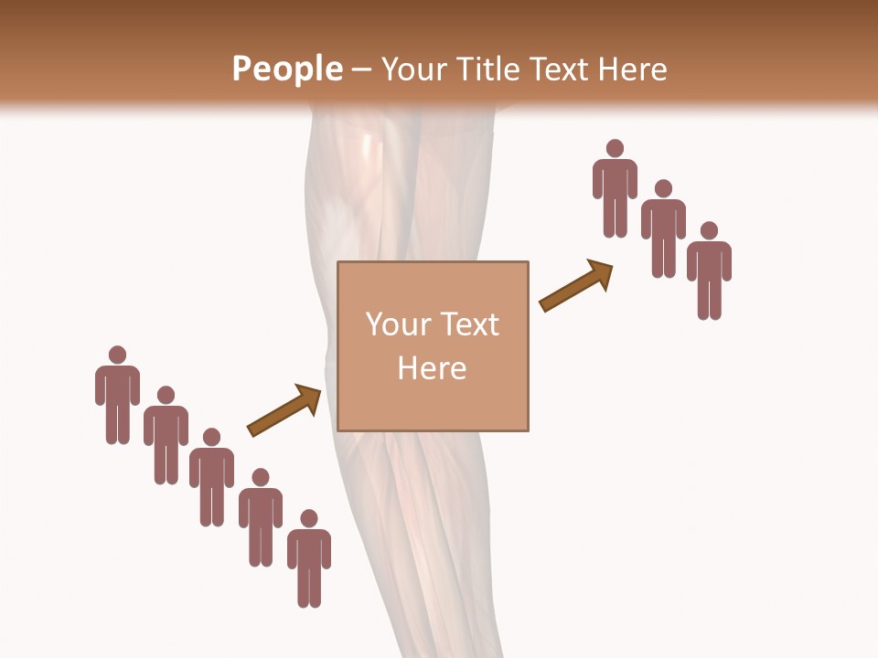 Ligament Corporal White PowerPoint Template
