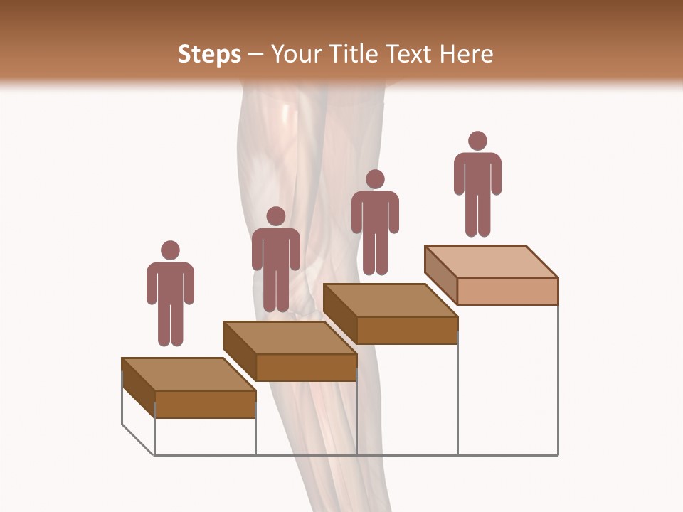 Ligament Corporal White PowerPoint Template