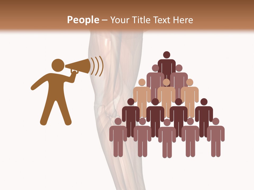 Ligament Corporal White PowerPoint Template