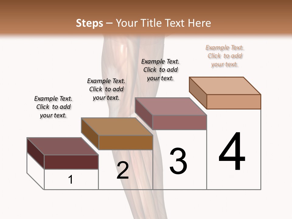 Ligament Corporal White PowerPoint Template