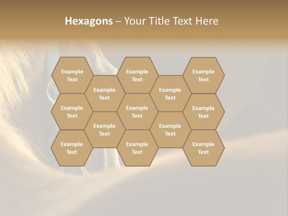 Wildlife Autumn Country PowerPoint Template