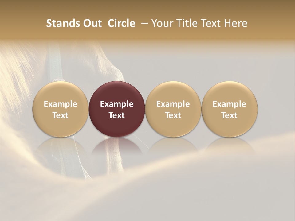 Wildlife Autumn Country PowerPoint Template