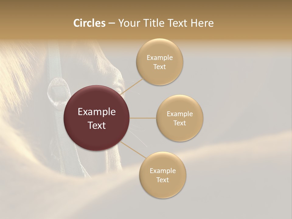 Wildlife Autumn Country PowerPoint Template