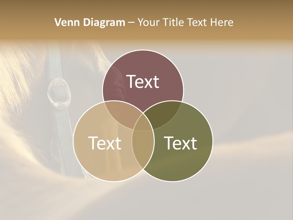 Wildlife Autumn Country PowerPoint Template