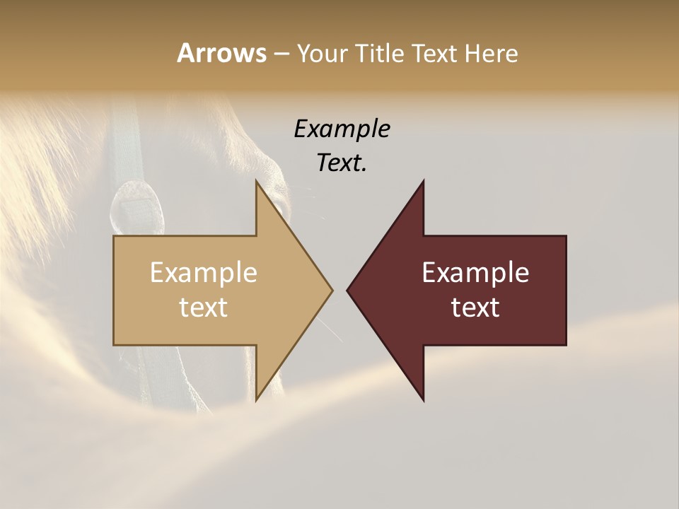 Wildlife Autumn Country PowerPoint Template