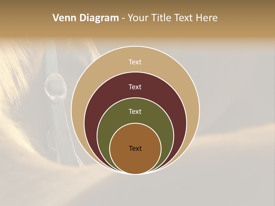 Wildlife Autumn Country PowerPoint Template